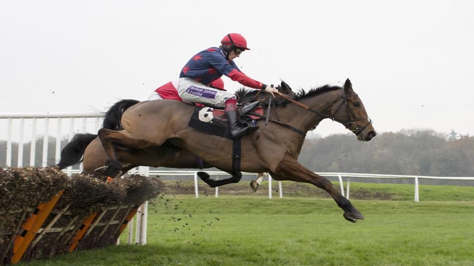 Horse jumping